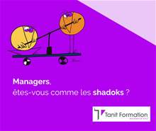 Les managers sont-ils des shadoks ?